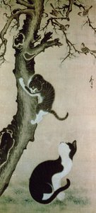 Chats, 17ème siècle